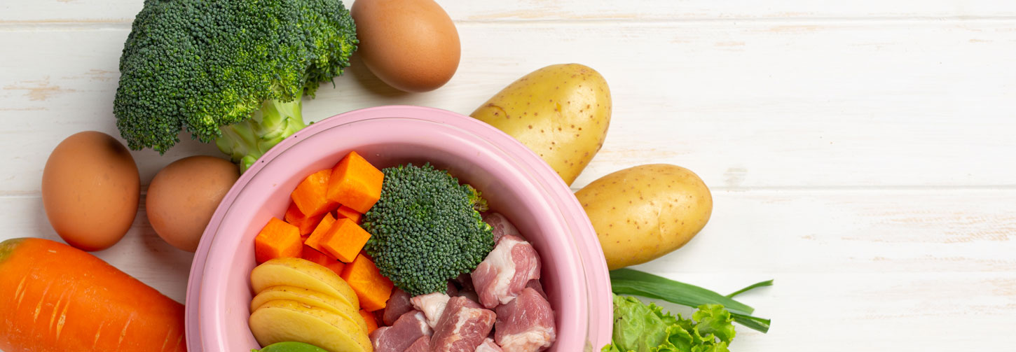 Bark & Disco’s Nutrition Tips: Feeding for Health & Behavior